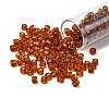 TOHO 3/0 Round Beads X-SEED-TR03-0423-1