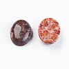 Natural Leopard Skin Jasper Cabochons X-G-LS18x13x10-2