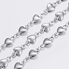 Tarnish Resistant 304 Stainless Steel Chains STAS-P197-038P-1