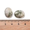 Natural Peace Jade Cabochons G-G145-01B-55-3
