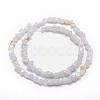 Natural Blue Lace Agate Beads Strands G-F465-03-2