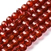 Dyed & Heated Natural Carnelian Beads Strands G-G177-I01-01-2