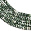 Natural Green Spot Jasper Beads Strands GG-CBAE4D4-A05-01-3
