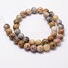 Natural Crazy Lace Agate Beads Strands G-D840-70-12mm-2