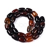 Natural Agate Beads Strands G-N356-02B-02-2