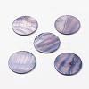 Shell Cabochons BSHE-L036-17-1