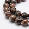 Natural Glaucophane Beads Strands G-K209-04A-10mm-3