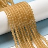 Imitate Austrian Crystal Frosted Glass Beads Strands GLAA-F029-TM3mm-B18-4