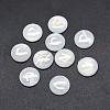 Shell Cabochons SSHEL-E568-B12-2