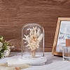 Glass Dome Cover AJEW-WH0752-087B-4
