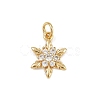 Brass Micro Pave Cubic Zirconia Charms LS-KK-H077-02G-05-1