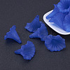 Transparent Acrylic Beads X-BSF796-C05-2