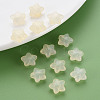 Transparent Acrylic Beads LS-MACR-S373-26E-11-6