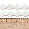 Natural Freshwater Shell Beads Strands SHEL-K010-02C-4