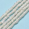 Natural Cultured Freshwater Pearl Beads Strands PEAR-A005-22-2