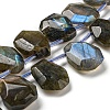 Natural Labradorite Beads Strands G-Z040-A03-01-1