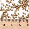 Baking Paint Glass Seed Beads X-SEED-S042-05B-40-4