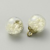 Transparent Glass Globe Pendants GLAA-TAC0005-003C-1