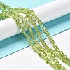 Natural Peridot Beads Strands G-E607-A06-4