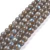 Grade AA Natural Gemstone Labradorite Round Beads Strands G-E251-33-8mm-4