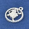 Twelve Constellations Alloy Pendants PALLOY-Q006-01J-S-2