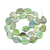 Freshwater Shell Beads Strands X-SHEL-S274-61B-1