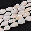 Natural White Shell Beads Strands X-PBB263Y-1-3