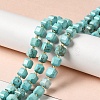 Natural Howlite Beads Strands G-C025-14-2