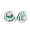 Handmade Lampwork & Brass Core European Beads LAMP-N044-11S-01-3