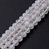 Natural Rainbow Moonstone Beads Strands G-I249-B04-04-3