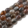 Natural Botswana Agate Beads Strands G-NH0015-C03-01-1