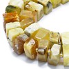 Natural Yellow Opal Beads Strands G-K245-F04-04-3