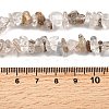 Natural Lodolite Quartz Beads Strands G-H315-A02-01-5