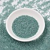 MIYUKI Delica Beads X-SEED-J020-DB1767-2
