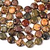 Natural Picasso Jasper/Polychrome Jasper Beads Strands G-C116-A118-01-2
