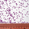 11/0 FGB Grade A Round Glass Seed Beads SEED-N001-A-1073-3