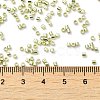 Electroplate Glass Seed Beads SEED-S042-01B-09-4