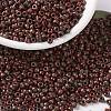 MIYUKI Round Rocailles Beads X-SEED-G008-RR4520-1