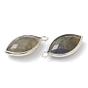 Natural Labradorite Pendants G-B009-01P-G-2