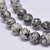 Natural Sesame Jasper/Kiwi Jasper Beads Strands X-G-F351-6mm-1