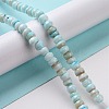 Natural Cultured Freshwater Shell Beads Strands SHEL-F002-01B-2