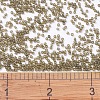 MIYUKI Delica Beads X-SEED-J020-DB0384-4