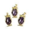 Natural Amethyst Pendant KK-F887-02G-03-1