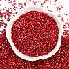 Baking Paint Silver Lined Glass Seed Beads SEED-H003-09C-3
