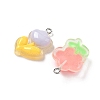 Transparent Resin Pendants RESI-I339-02P-2