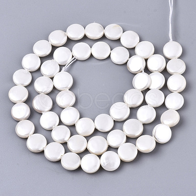 Natural Freshwater Shell Beads Strands X-SHEL-N026-50A-01-1