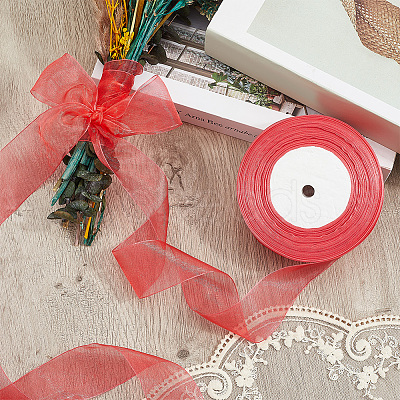 1 Rolls Sheer Organza Ribbon SRIB-CY0001-22B-05-1