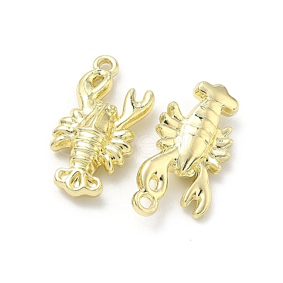 Ocean Alloy Pendants FIND-Z108-02LG-01-1