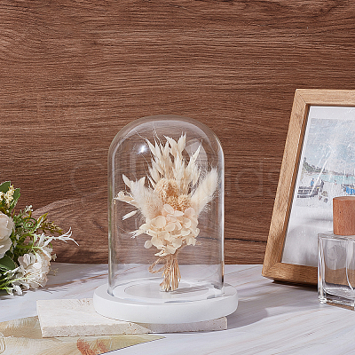 Glass Dome Cover AJEW-WH0752-087B-1