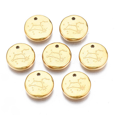 316 Surgical Stainless Steel Charms STAS-S116-418H-G-1